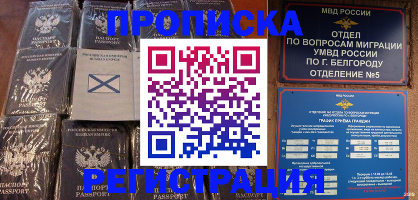 прописка гарантия в Мурманской области
